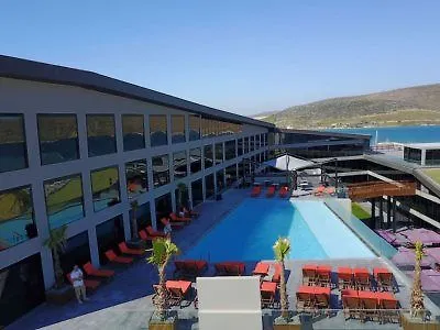 The S By Ascend Collection