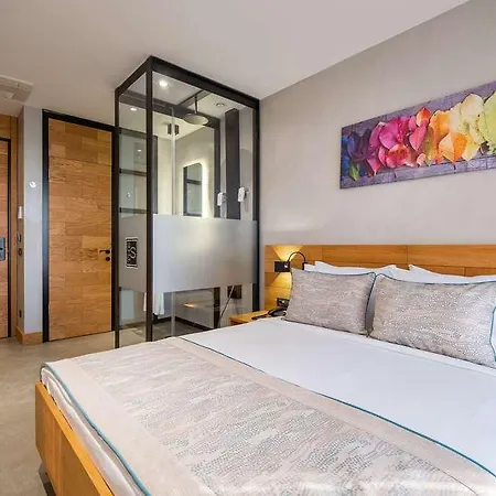 The S By Ascend Collection