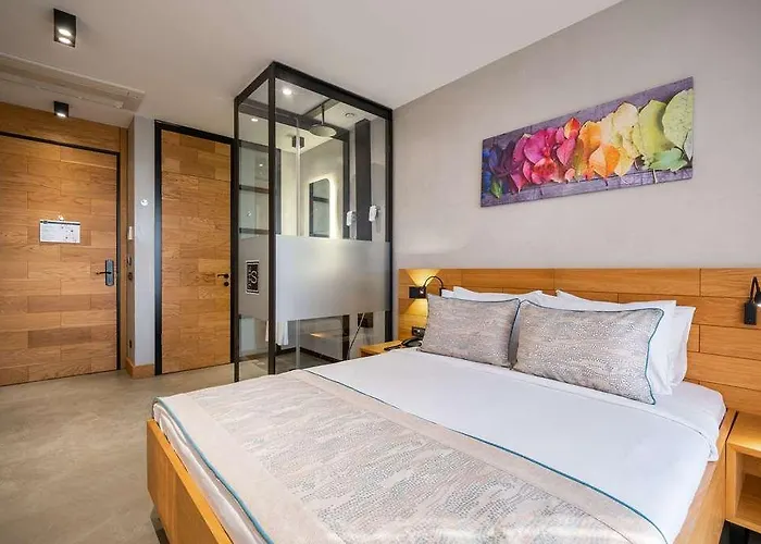 The S By Ascend Collection